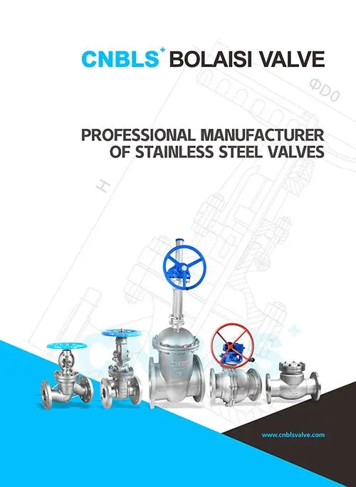 Corporate Brochure (Bifold)